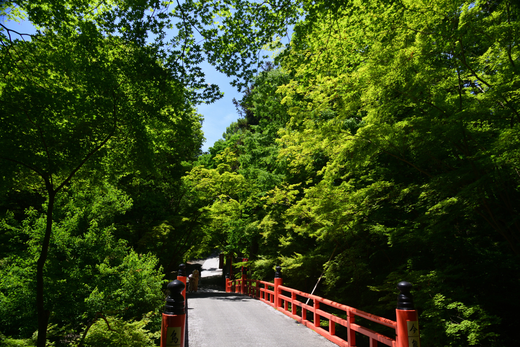240525g今熊野観音寺02
