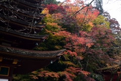 181114b談山神社25