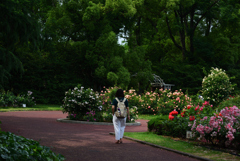 200604京都植物園55