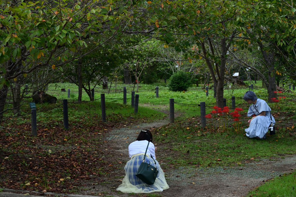 231003京都植物園76