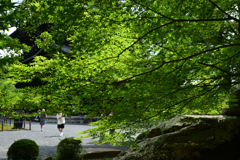 230527e南禅寺39
