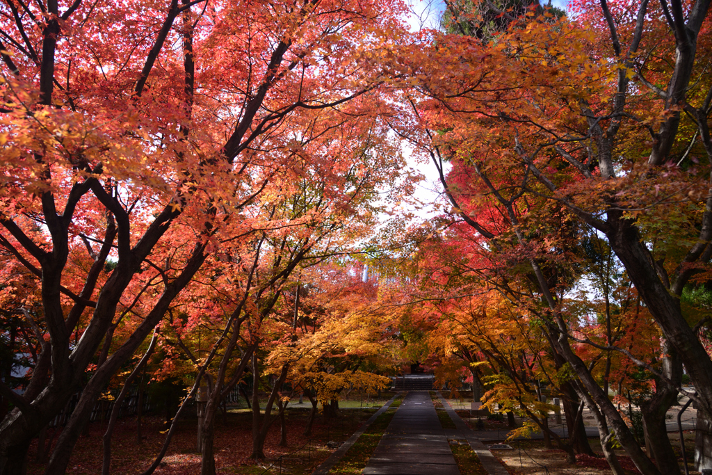 241208a西陣興聖寺03