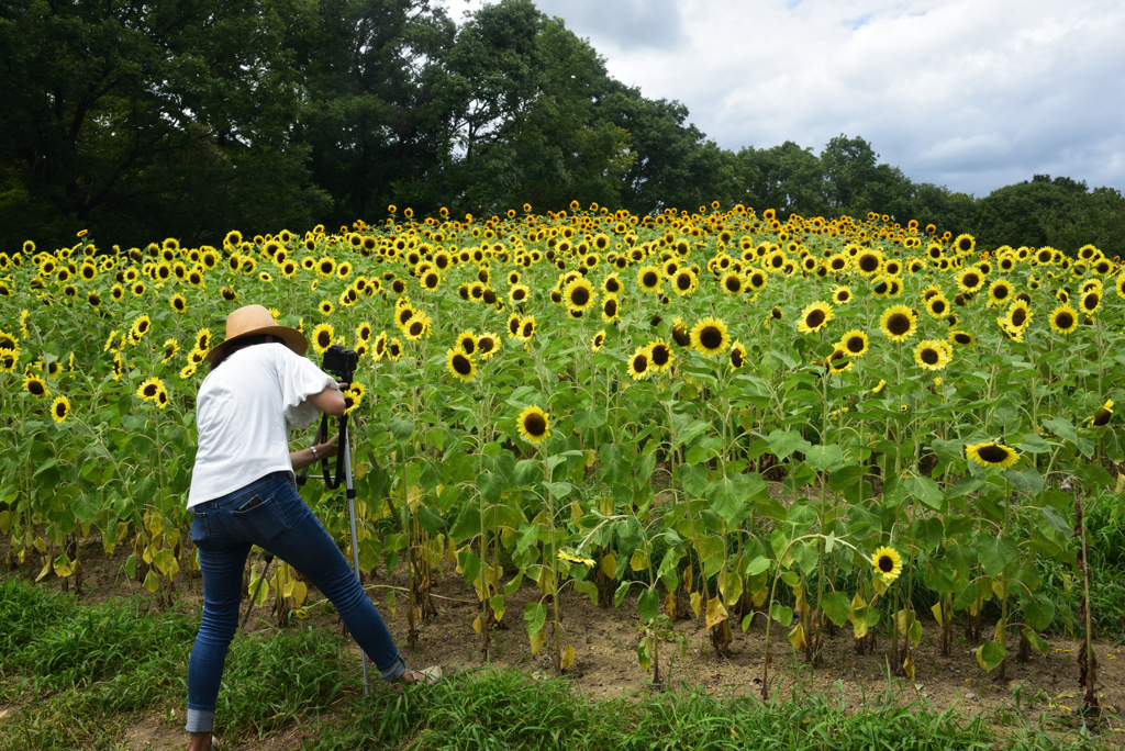 190806馬見丘陵公園40