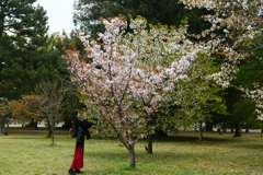 250418a京都御苑35
