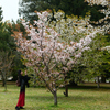250418a京都御苑35