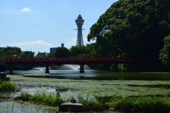 180601慶沢園44+