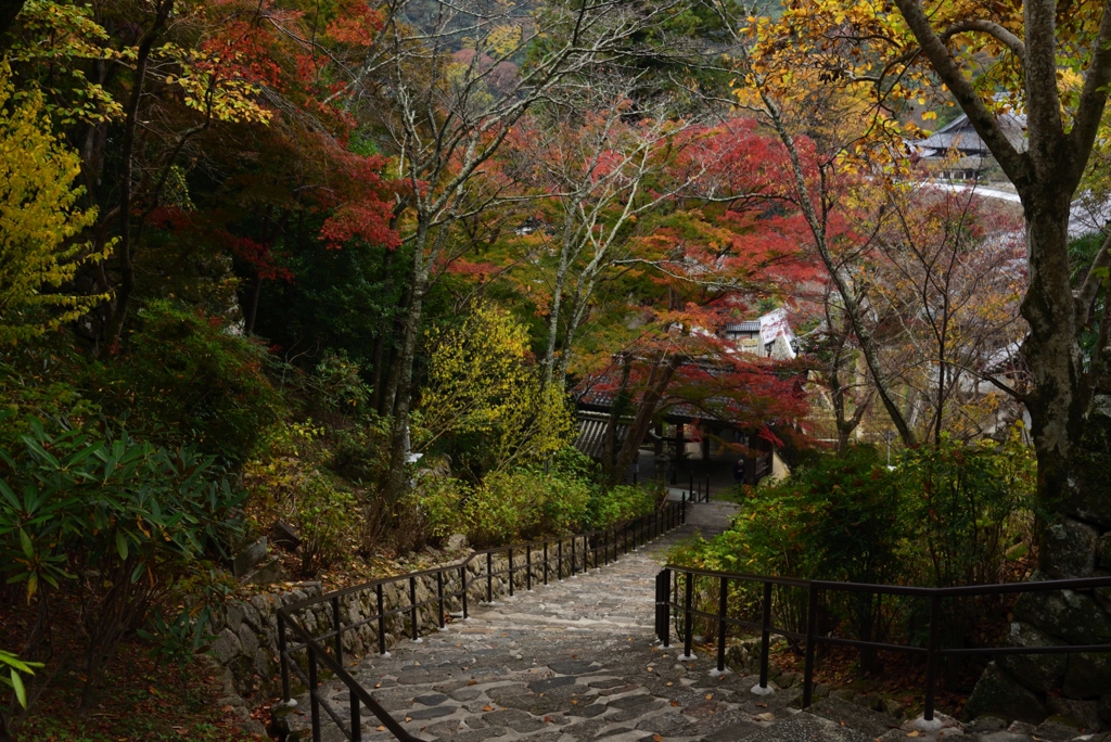 181114a長谷寺58