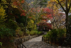 181114a長谷寺58