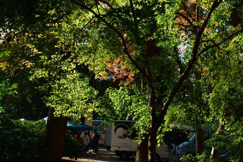 251207b下鴨神社16