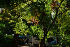 251207b下鴨神社16