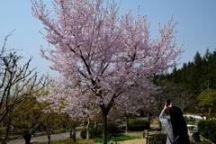 180329宇治植物園20+
