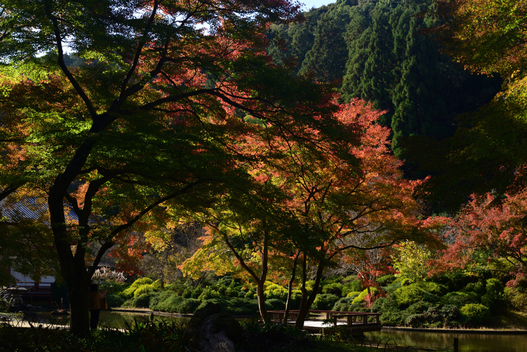 221112a久安寺31