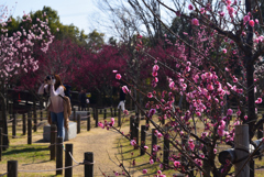 190226a馬見丘陵公園20