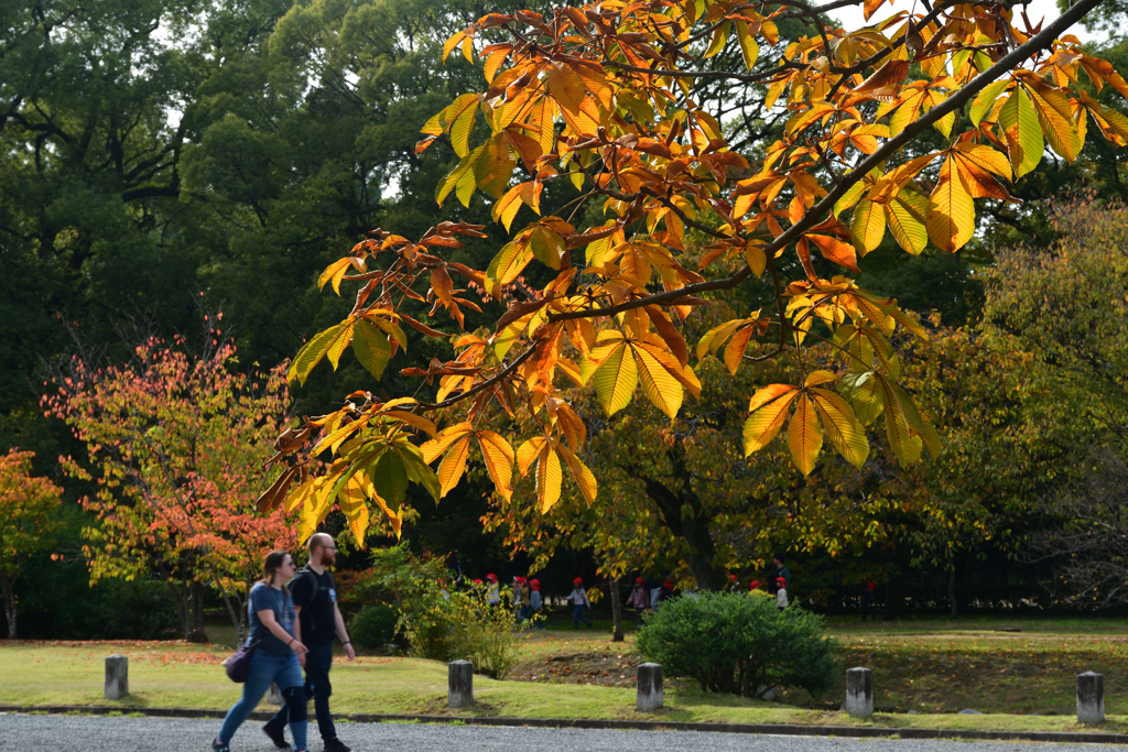 2501104京都御苑18