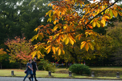 2501104京都御苑18