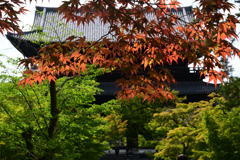 230527e南禅寺50
