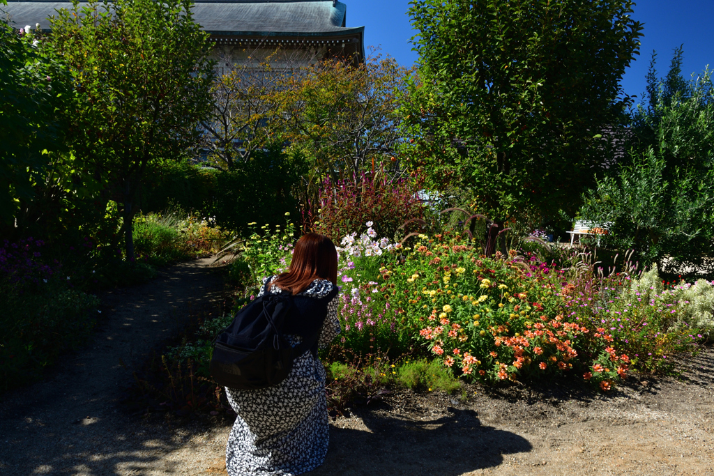 2501023びわ湖大津館44