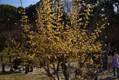 250215大阪城30