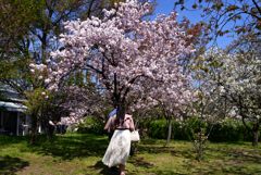 230404b京都植物園10