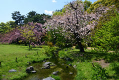 230409a京都御苑20