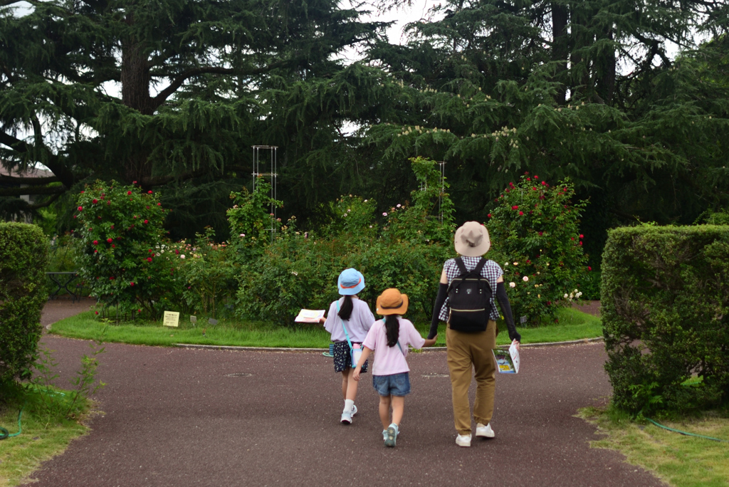 240727京都植物園10