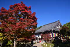 241125b智積院18