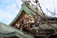 200122b北野天満宮09 200122b北野天満宮09