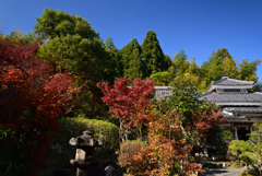 211119d壇林寺06