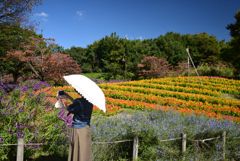 221014馬見丘陵公園35