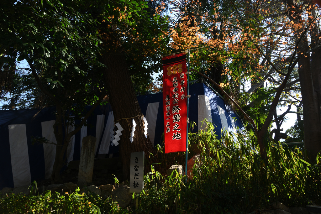 220108d安居神社34