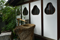 250924bだるま寺28