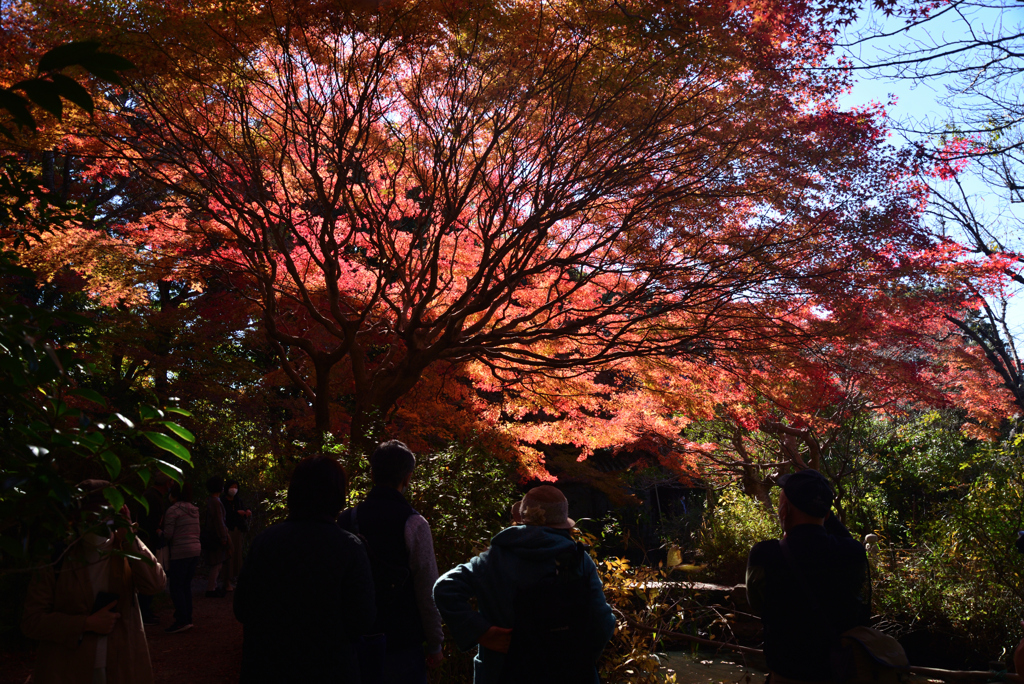 211129b不退寺38