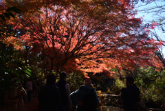 211129b不退寺38
