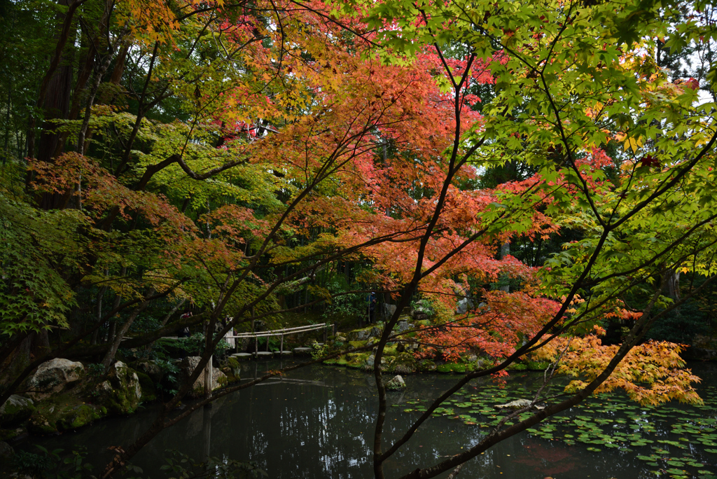 201113南禅寺29天授庵