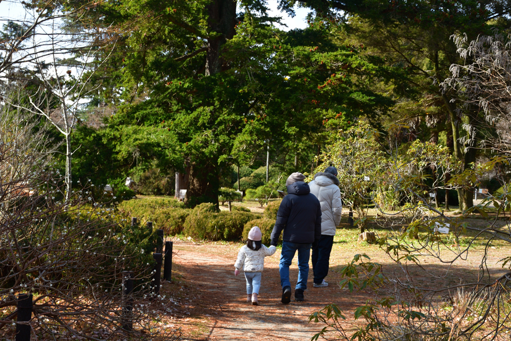 260131a京都植物園04