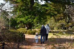 260131a京都植物園04