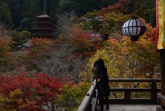 181114a長谷寺35