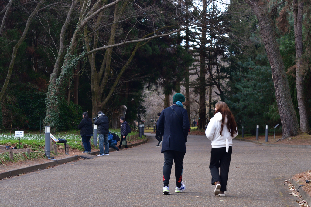 260131a京都植物園09