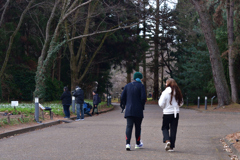 260131a京都植物園09