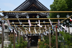 190728cおふさ観音07