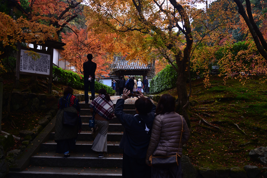 221127a南禅寺11