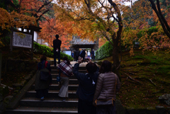 221127a南禅寺11