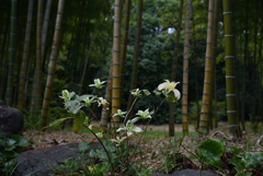 190920万博公園52