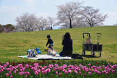 190404馬見丘陵公園08