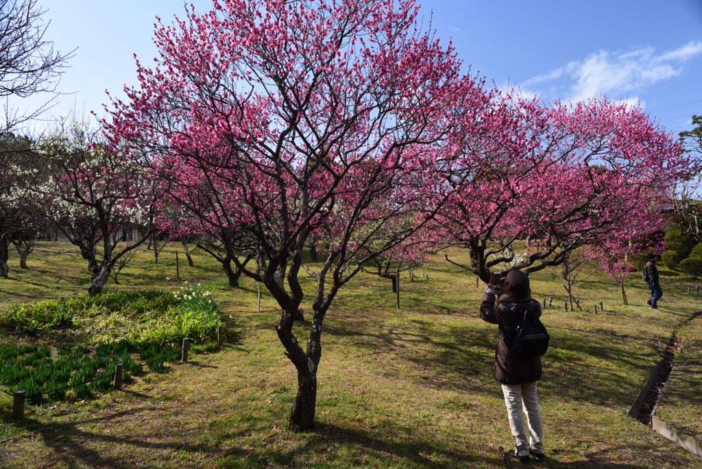 190212山田池公園35