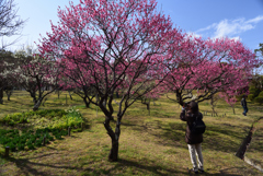 190212山田池公園35