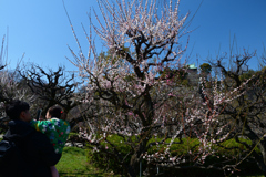 250320a大阪城08
