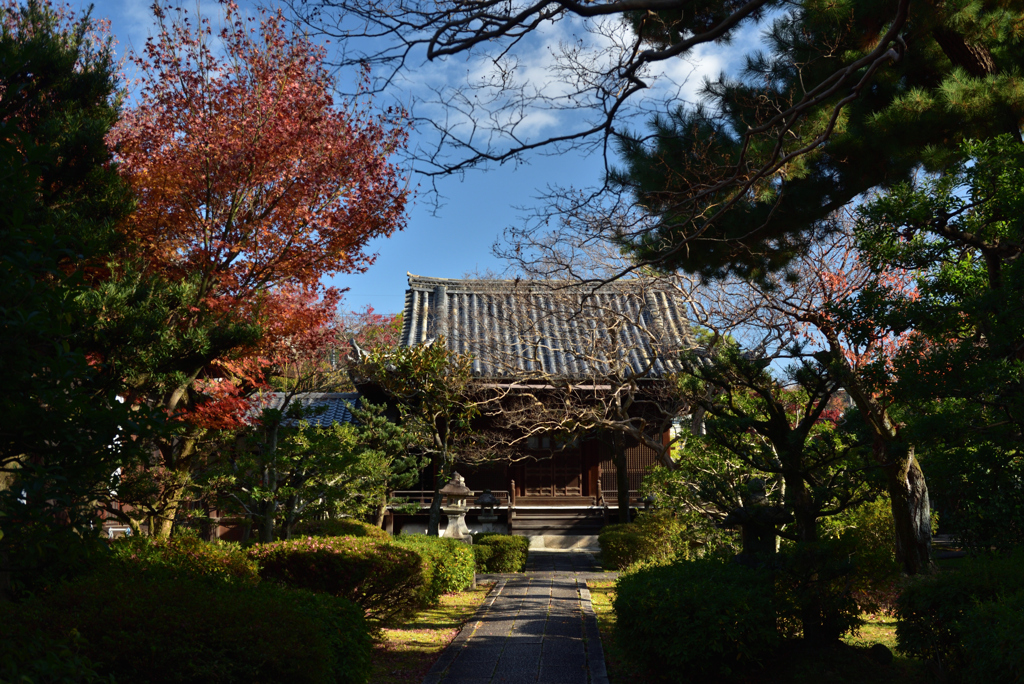 191215b養源院28