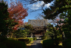 191215b養源院28