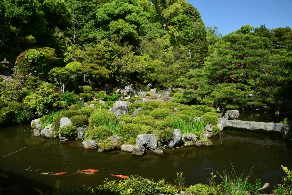 180505等持院06